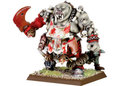 Ogre-Kingdoms