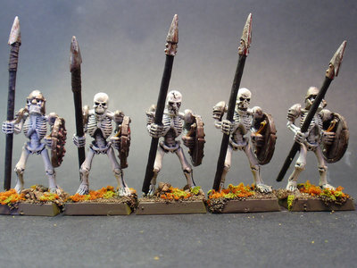 Vampire Counts Skeleton Warriors (5 models)