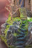 Watchtower_6