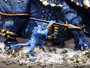 Professioneel geschilderde Warhammer Lizardmen Stegadon_6