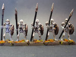 Vampire-Counts-Skeleton-Warriors-(5-models)